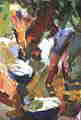 19-Au marigot